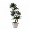 ÁRBOL TOPIARI PARVIFOLIA 150 CM.