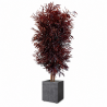 ÁRBOL NICOLII ROJO 180 CM.