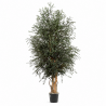 ÁRBOL PARVIFOLIA 180 CM.