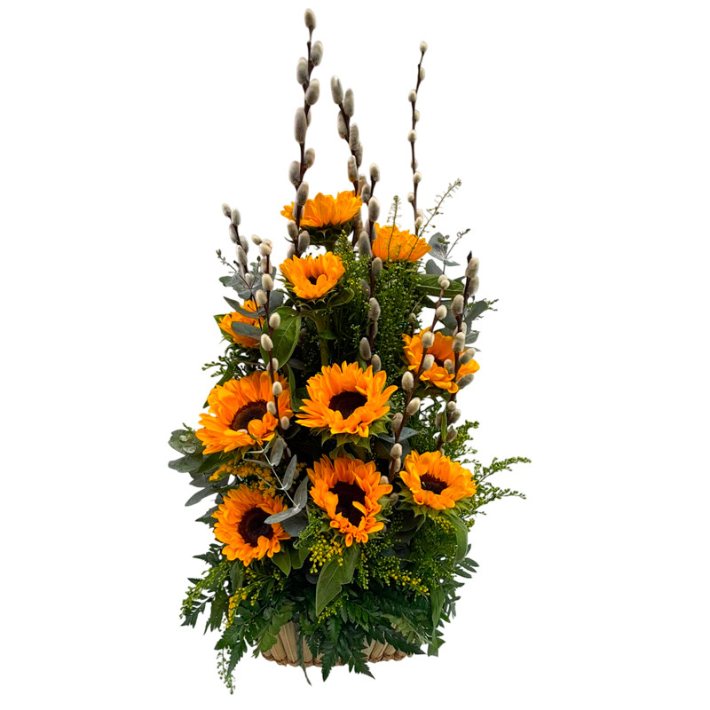 CAMPO DE GIRASOLES