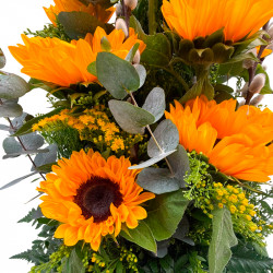 CAMPO DE GIRASOLES