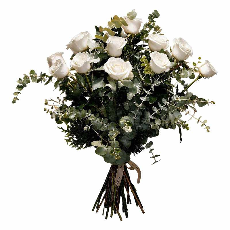 DOCENA DE ROSAS TALLO LARGO ROSAS