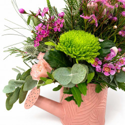 REGADERA PINK