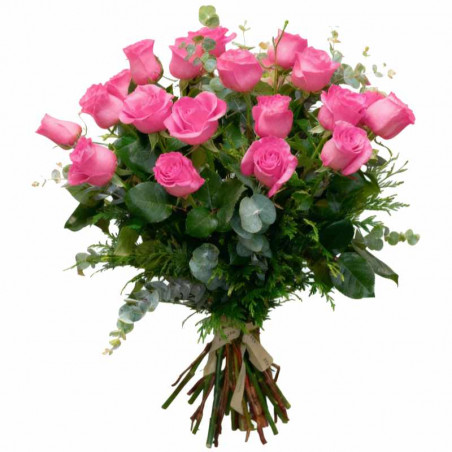 PUREZA ROSA