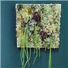 JARDINES VERTICALES 22080401