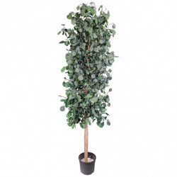 ÁRBOL PÓPULUS 180 CM.