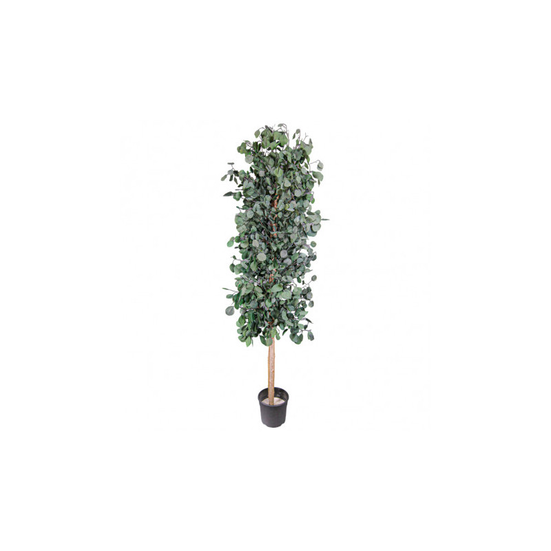 ÁRBOL PÓPULUS 180 CM.