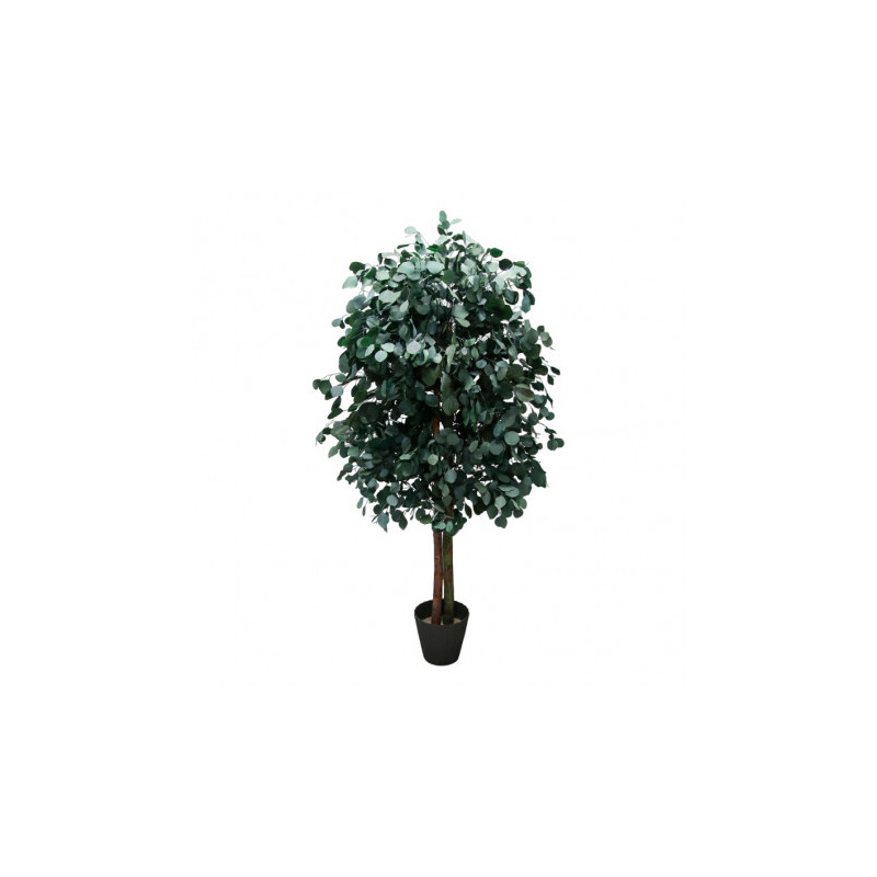 ÁRBOL PÓPULUS 120 CM.