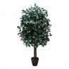ÁRBOL PÓPULUS 120 CM.