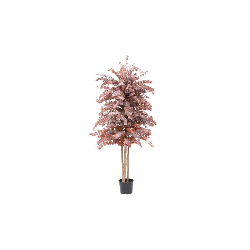 ÁRBOL PRESERVADO 24004
