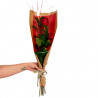 ROSA INDIVIDUAL