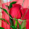 ROSA INDIVIDUAL