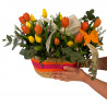 PRIMAVERA