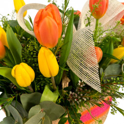 PRIMAVERA