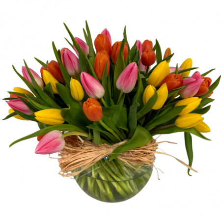 LUXURY TULIPS