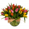 LUXURY TULIPS