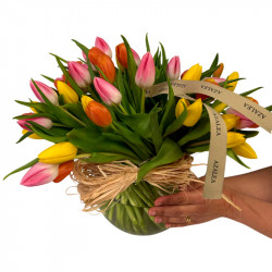LUXURY TULIPS