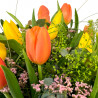 HOLANDA