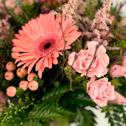 RAMO PINK