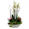 CENTRO DE ORQUÍDEAS ALEGRÍA