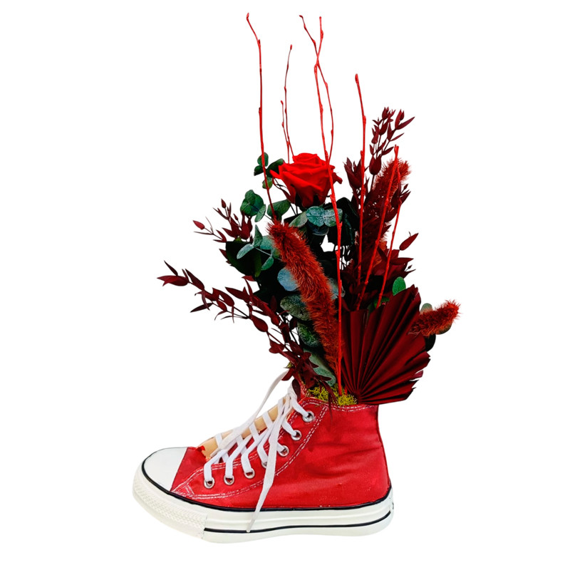 CONVERSE ROJA PRESERVADA