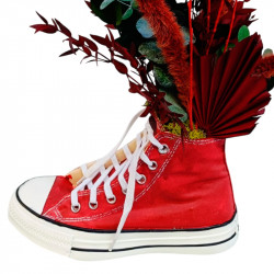 CONVERSE ROJA PRESERVADA